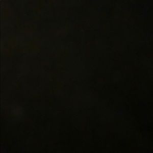 Meet your Posher, Tiesha